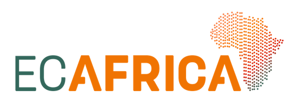 Entrepreneur Connect Africa